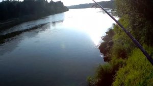 Бонусы на микроджиг!!! Разлов новых приманок!