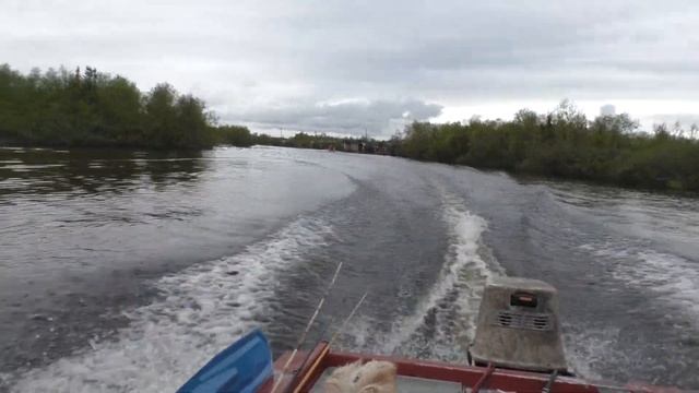 Go fishing смотреть онлайн