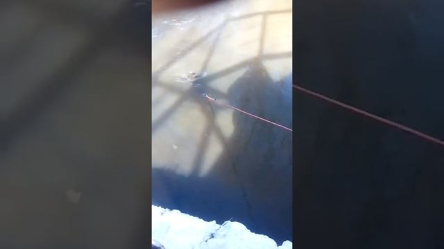 ловим металл на поисковый магнит смотреть онлайн