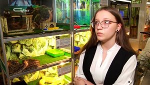 Мартышка и очки