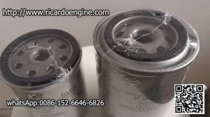Ricardo Diesel Engine JX0810B oil filter CX0708 fuel filter