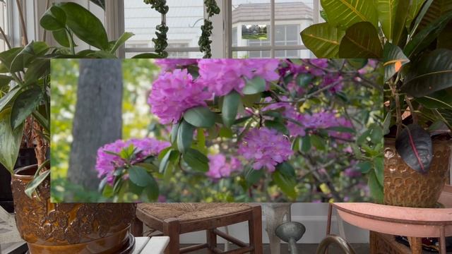 put that baby in the driver's seat explained (Part 1/4) смотреть онлайн