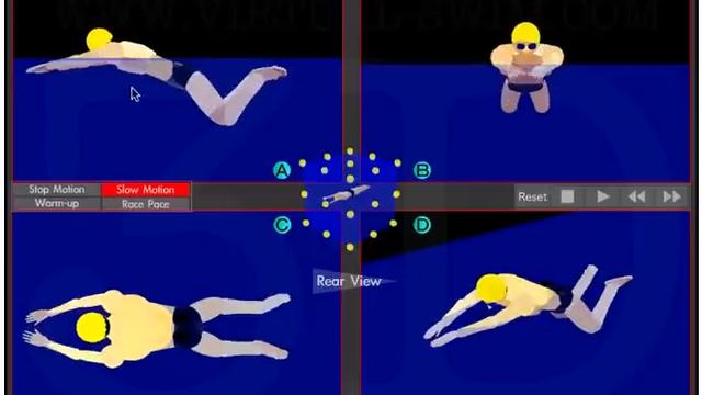 Стили плавания в 3D. Разбор техники плавания на примере пловцов чемпионов.