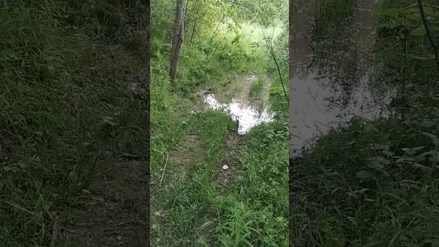 Мы поймали ужа смотреть онлайн