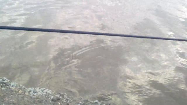 Сулежский Борок 10.10.2017 год 16