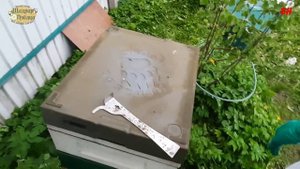 пчеловодство, переход на рамку дадан, самый простой способ