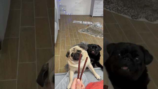 В большой семье