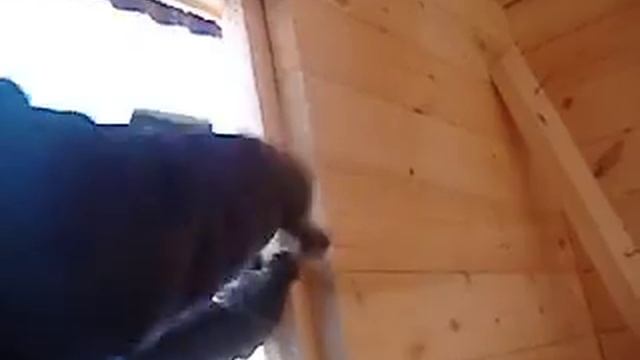 шиповка проемов ройки обсада