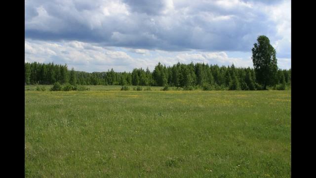 Берега р Реж смотреть онлайн