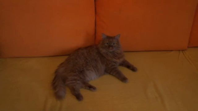 Прогулки по Томску смотреть онлайн