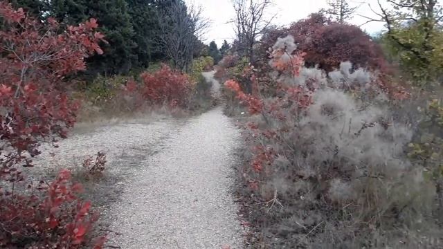 В парке 35-летия Победы,Севастополь смотреть онлайн