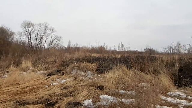 Сливают грязь в р.Ардым куда смотрят Пензенские экологи?