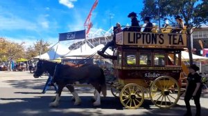 Horse cart passing through the easter show pathway.