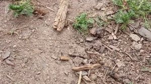 ПРОЛЕТАРИИ всех стран - ОБЪЕДИНЯЙТЕСЬ!