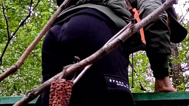 "РЕШИЛИ ГУЛЬНУТЬ, А ПОЛУЧИЛСЯ ШЕДЕВР" - 1 ЧАСТЬ: ВХОД В НЕПРОХОДИМЫЙ ЛЕС. смотреть онлайн