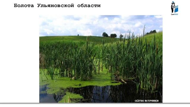 Флора и заповедные зоны Ульяновской области смотреть онлайн
