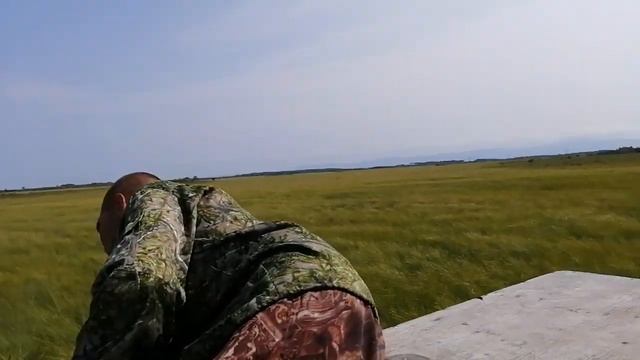 Трудовая голубика. смотреть онлайн