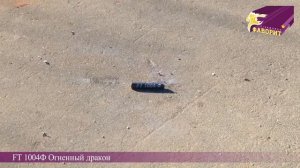 Огненный дракон FT 1004 Ф Бытовая пиротехника ООО Фаворит