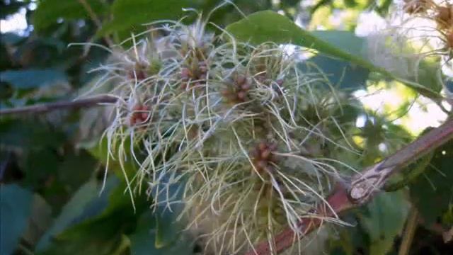 Южный берег Крыма 2013 год смотреть онлайн