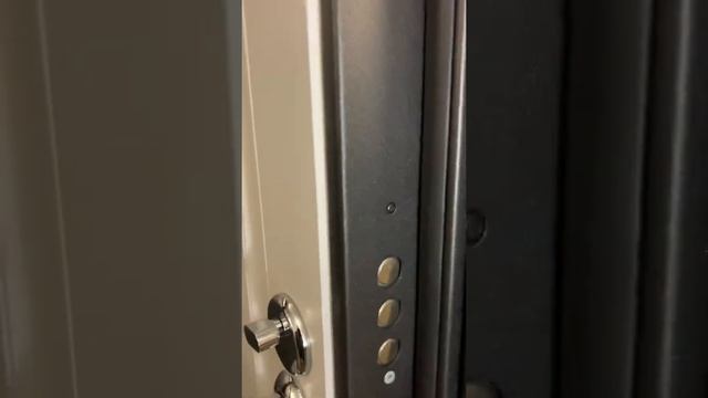 Обзор входной двери с не обычными характеристиками! смотреть онлайн