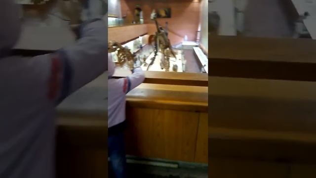 Палеонтологический музей