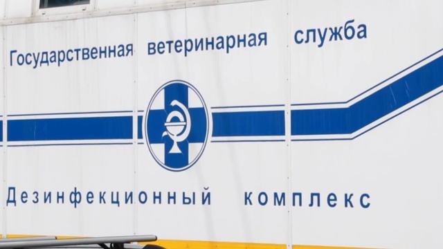 Доступная ветеринария. Выпуск 9