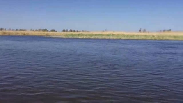 Колочный 2013 смотреть онлайн