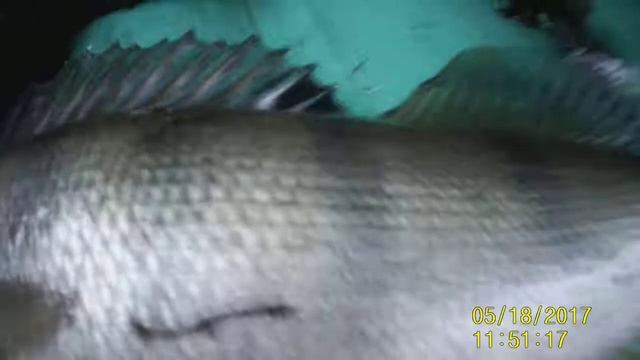 поиски с металлоискателем и рыбалка смотреть онлайн