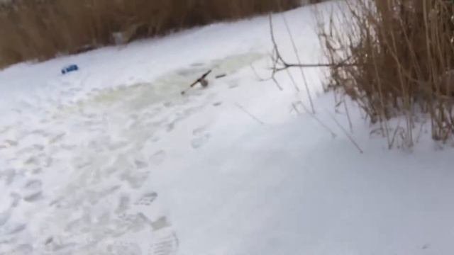 Подлёдная рыбалка