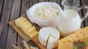 Загадки про молочні продукти