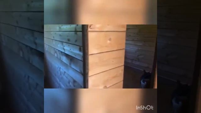 Обзор на дом в с. Иглино по ул. Сливовая смотреть онлайн