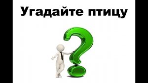 Узнайте птицу по голосу_2