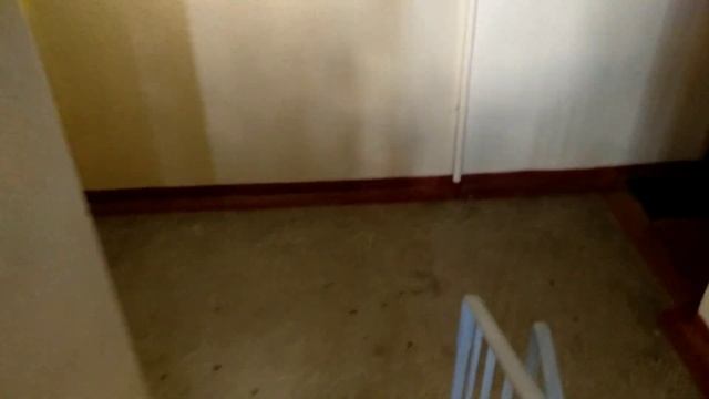 Созданный музыкальный лифт 9 выпуск) Пассажирский лифт (МОЭЛЗ-1982 г.в) V=07, 1 м/с, г/п 320 кг смотреть онлайн