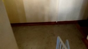 Созданный музыкальный лифт 9 выпуск) Пассажирский лифт (МОЭЛЗ-1982 г.в) V=07, 1 м/с, г/п 320 кг