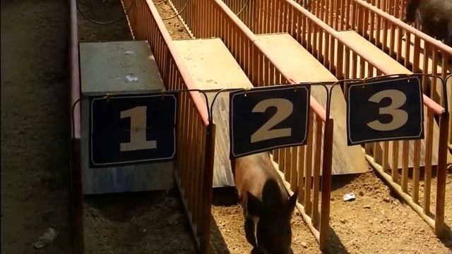 Путешествие во Вьетнам. Часть 2