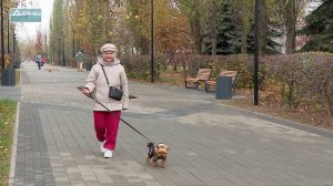 Завершилось благоустройство сквера на бульваре Победы