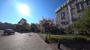 Цой Кино Я посадил дерево