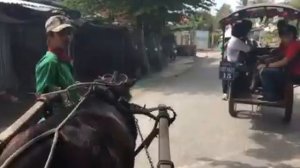 Mekong Delta Adventures, путешествие по дельте Миконга