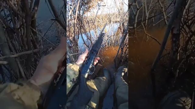 Охота на гуся! Отсюда Пешком не выбраться. смотреть онлайн