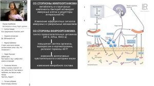 Вебинар Е Дерябина «Как микрофлора кишечника влияет на здоровье, эмоции, иммунит