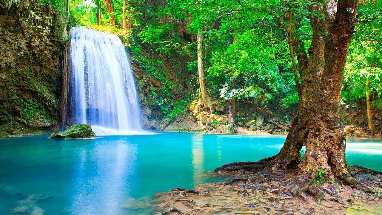 Расслабляющая Музыка + Звуки Воды | Для Снятия Стресса, Беспокойства и Глубокого Сна смотреть онлайн