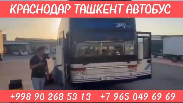 Краснодар Ташкент автобус #автобус #краснодар #ташкент
