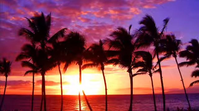 Агентство путешествий от 5 июня 2013 года смотреть онлайн