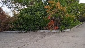 приморский парк и бухта заколдованных животных