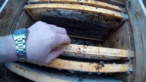 гибель семьи, почему погибла семья?