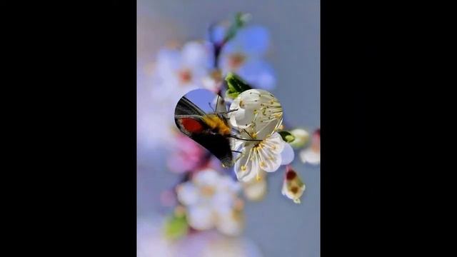 для души смотреть онлайн