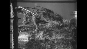 Как моделировали падение Тунгусского метеорита