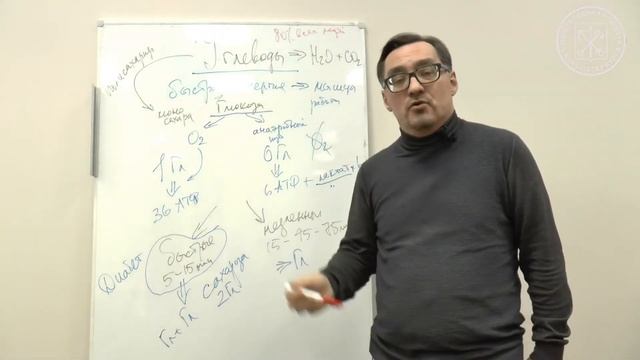 Основы правильного питания (3). Углеводы. Константин Борисович Заболотный (врач-диетолог,  педиатр)