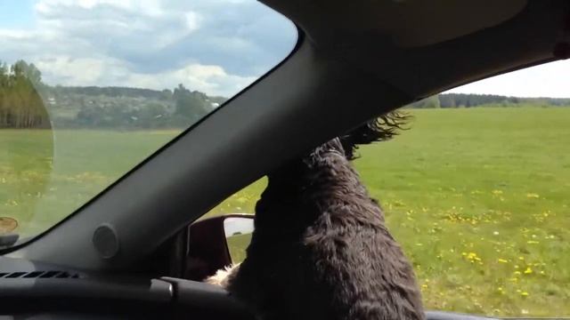 Жетон смотреть онлайн