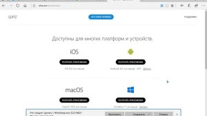 Skype ТУХНЕТ Есть ли достойная замена